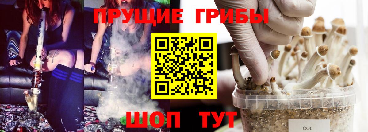 цены наркотик  Галлюциногенные грибы ЛСД  Вход с VPN  Анжеро-Судженск 